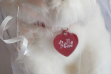 Toy 12" White Poodle, as it