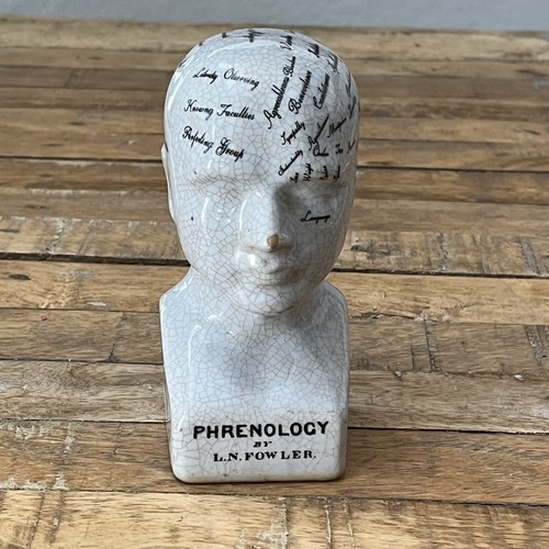 Ceramic phrenology head - head, bust