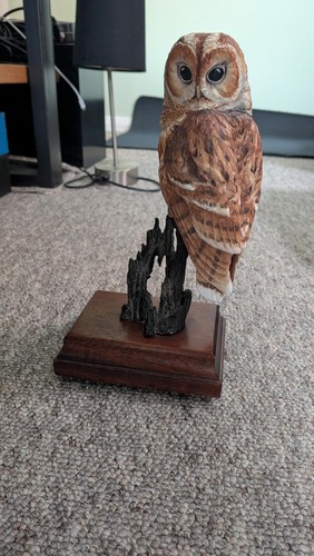 Barn owls david - x, fryer