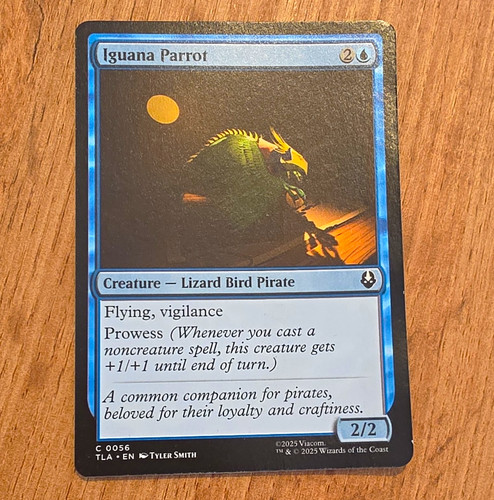 Wizards the coast - of,