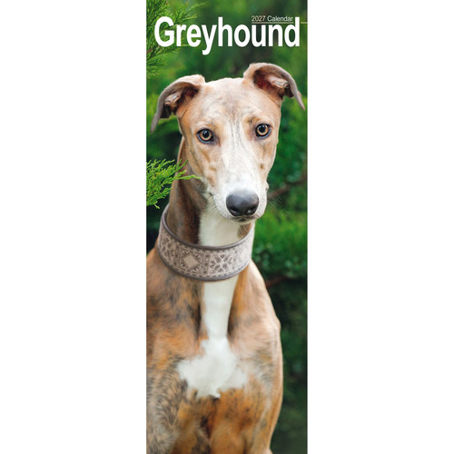 Greyhound slim 2027 calendar - slim, |