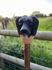 Hand Carved Spaniel Head in Lime wood Country Walking stick on Hazel Shank