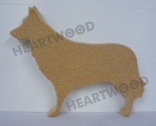Belgian Shepherd dog shape in