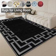 Large living room rugs non - living,