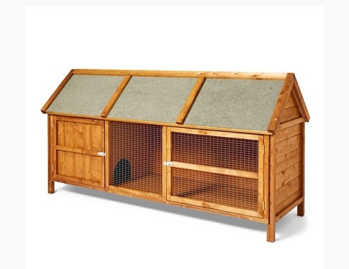 Clover apex rabbit guinea - clover,