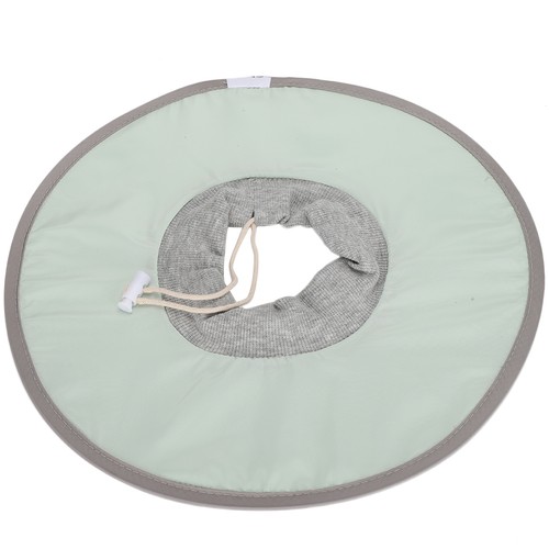 Pet cat anti licking - pet,