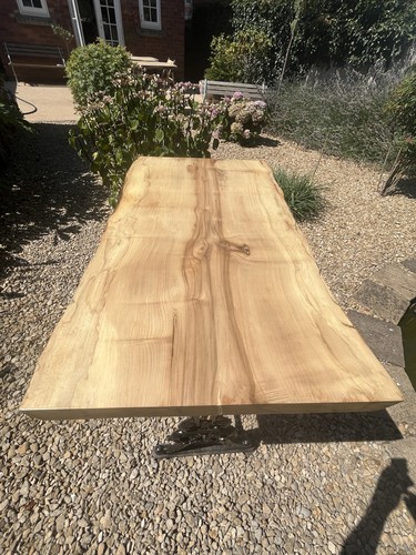 Sycamore live edge - live,