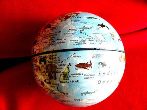 Plastic world globe ball - globe,