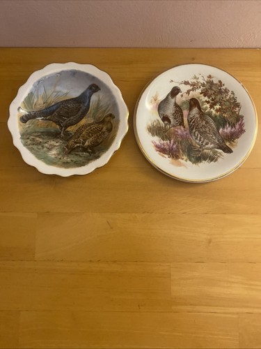 Beautiful small bird - bird, plates