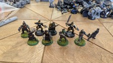 Rogue Trader Imperial Guard