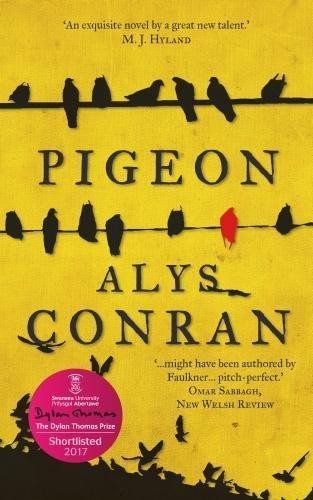 Pigeon conran alys - pigeon, conran,