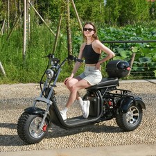 Max Loda 250KG Electric Tricycle Aldult Fat Tire Scooter 2000W Max Speed 45KM/H