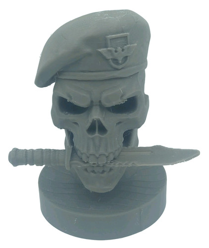 Printed military skull - 3d,