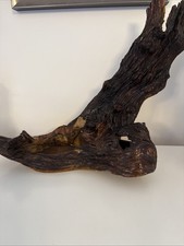 Gnarled Tree Root Wood Display Candle Jewellery Shop Stall Nature