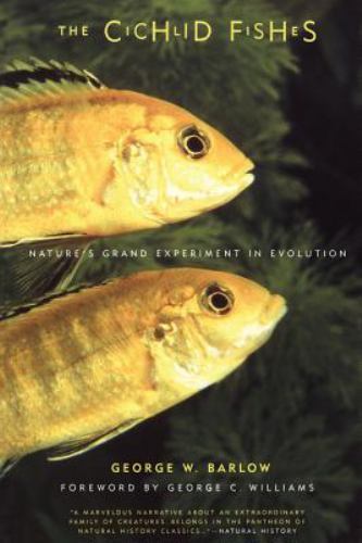 The cichlid fishes nature - fishes:, nature's