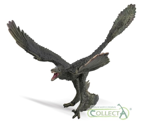 Collecta microraptor figurine - microraptor,