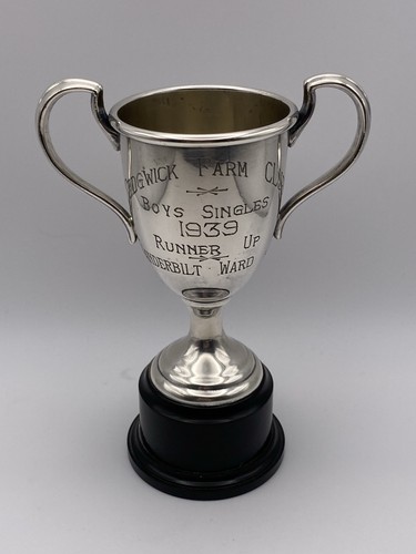 Sophisticated silver plate - sophisticated,