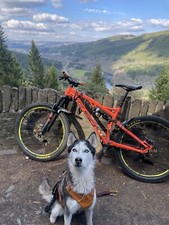 WHYTE G160 works + EXTRAS