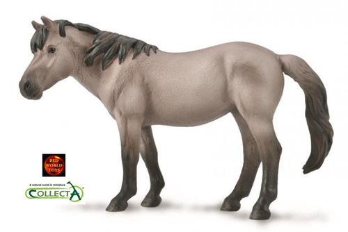 Konik mare blue dun - konik,