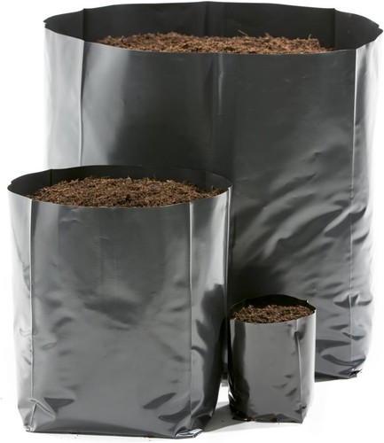 Hadopots black poly grow - black,