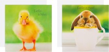 Baby Chicks & Rabbit Pack of