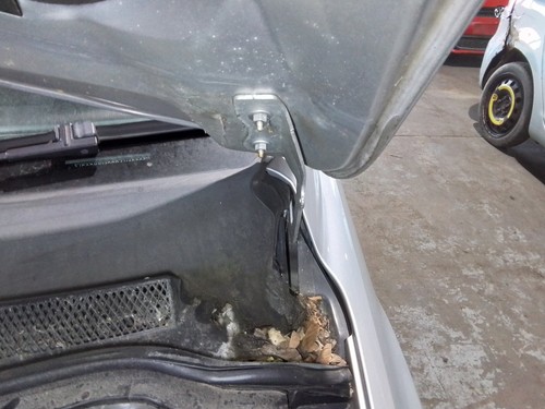 Bonnet hinge ford focus mk2 - bonnet,