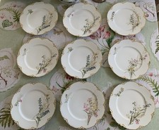 9 X Antique Vintage Limoges Floral Botanical Plates H&co French Gilded Pink Blue