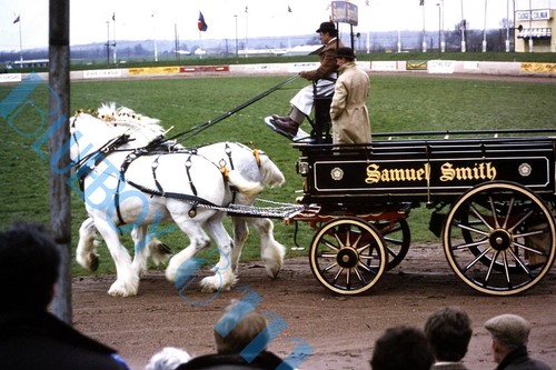 Samuel smith brewery horse - smith,