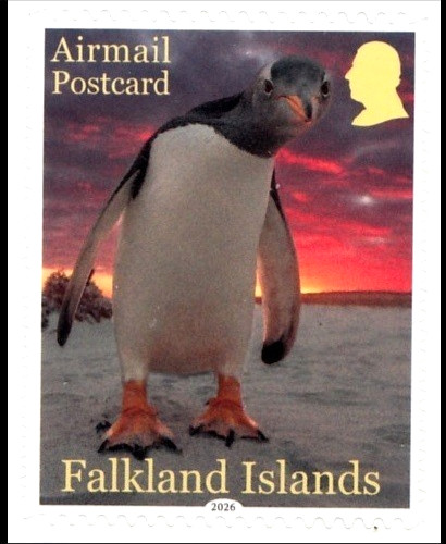Falkland islands 2026 - falkland,