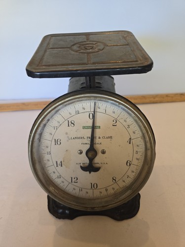 Antique universal family scale - family,