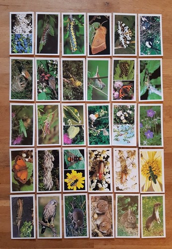 Grandee trade cards - trade,