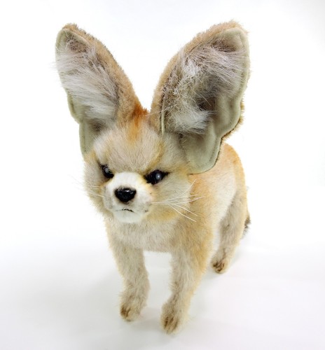 Lifelike fennec fox plush - lifelike, soft