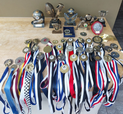 Mixed large lot trophy - mixed,