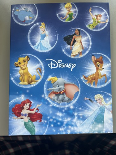 Disney commemorative coin - commemorative,