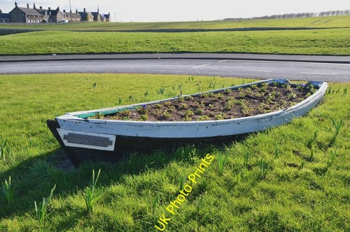 Photo 6x4 garden rowing - garden, in
