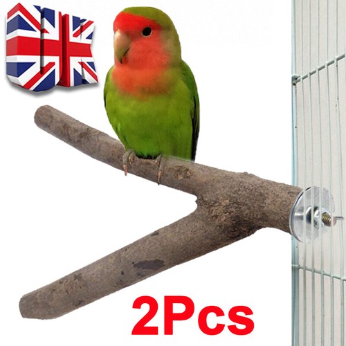 Parrot bird stand tree - 2x,