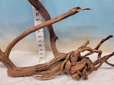  Manzanita driftwood premium