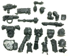 40k Chaos Space Marine Havoc