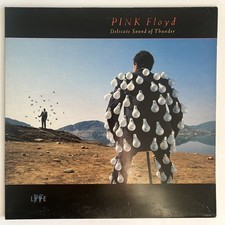 Pink Floyd Delicate Sound of