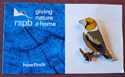 Scarce rspb hawfinch pin - hawfinch, badge