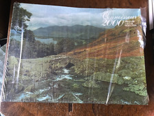 Vintage New Cellophane Arrow