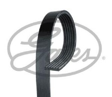 Original GATES V-Ribbed Belt 6PK1053 for Audi Citroën Fiat Ford Isuzu Iveco