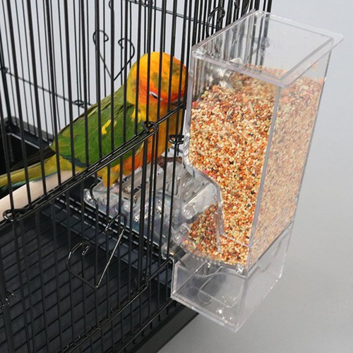 Reusable acrylic parrot - reusable,