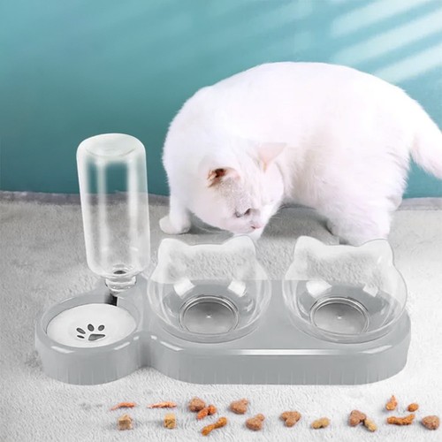 Cat feeder bowl - feeder, food