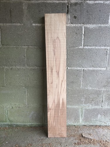 English beech hardwood - beech,
