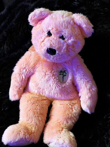 The beanie buddies - ty,