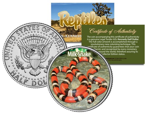 Milk snake collectible - snake,