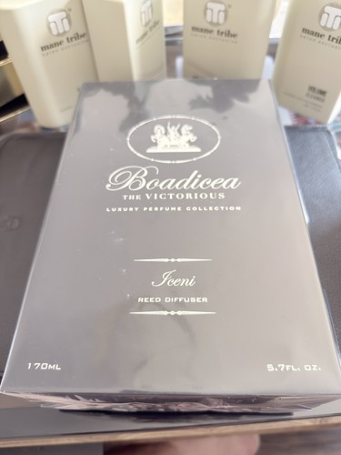 Boadicea the victorious iceni - boadicea,