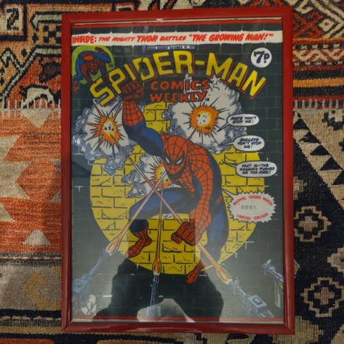 Marvel spiderman comics - marvel,