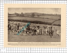 Devon and Somerset Staghounds